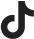 TikTok icon